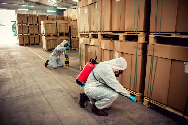 Best Local Pest Control Services  in Woodbine, GA