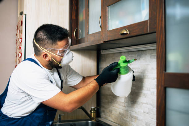 Best Exterminator Services  in Woodbine, GA