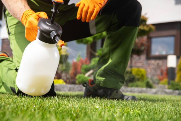 Best Pest Control Near Me  in Woodbine, GA