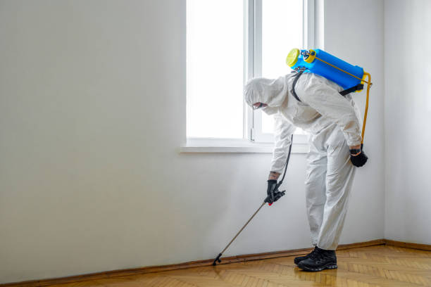 Best Pest Prevention Services  in Woodbine, GA
