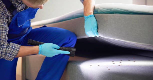 Best Pest Control for Restaurants  in Woodbine, GA