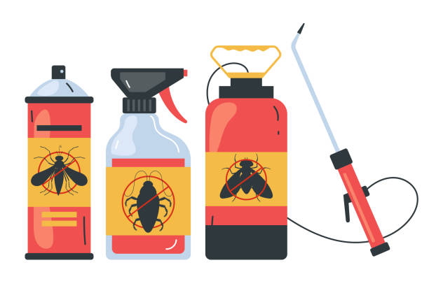Best Spider Control Near Me  in Woodbine, GA