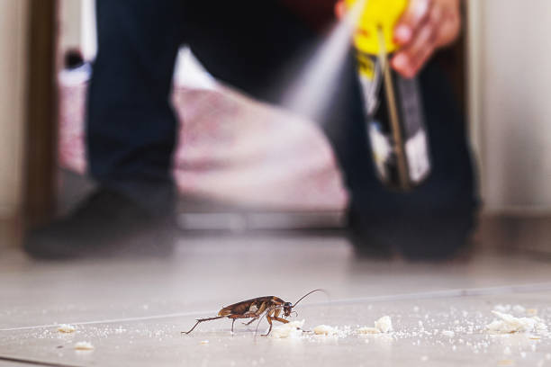 Best Wildlife Control Services  in Woodbine, GA